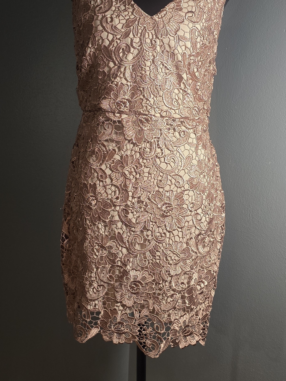 Express Rose Gold Lace Mini Dress